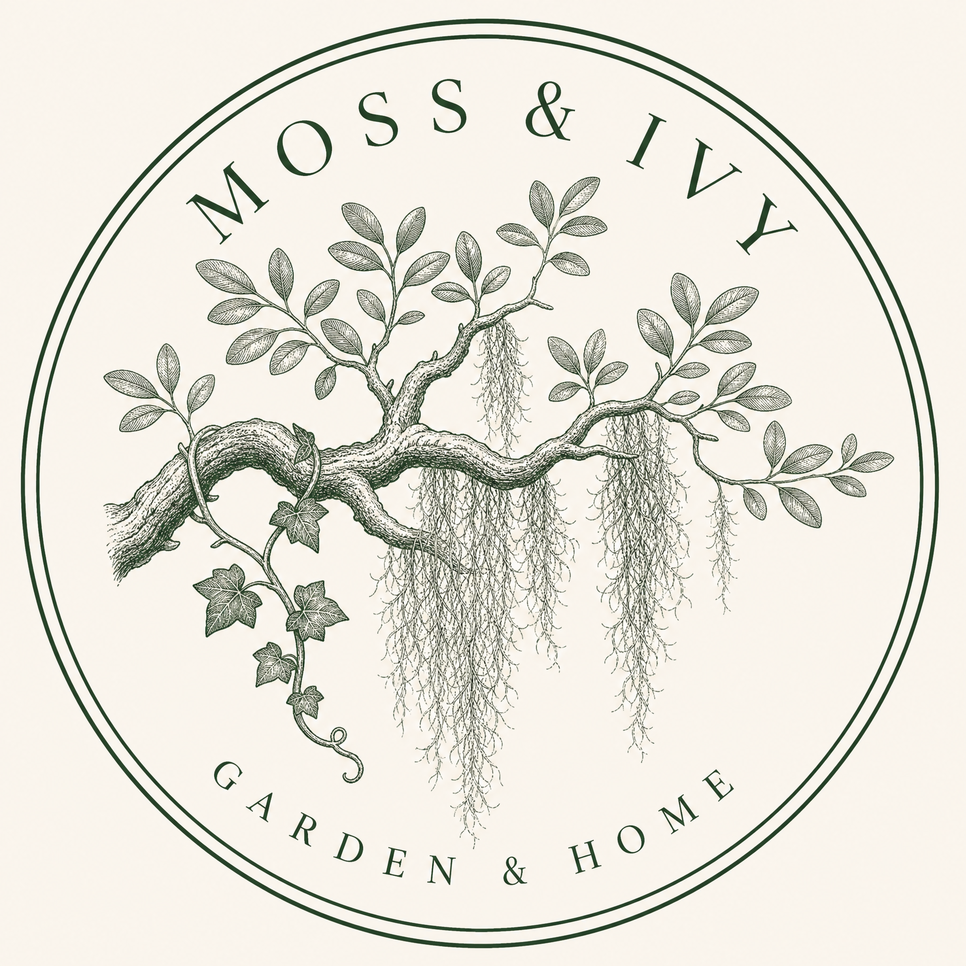 Moss & Ivy